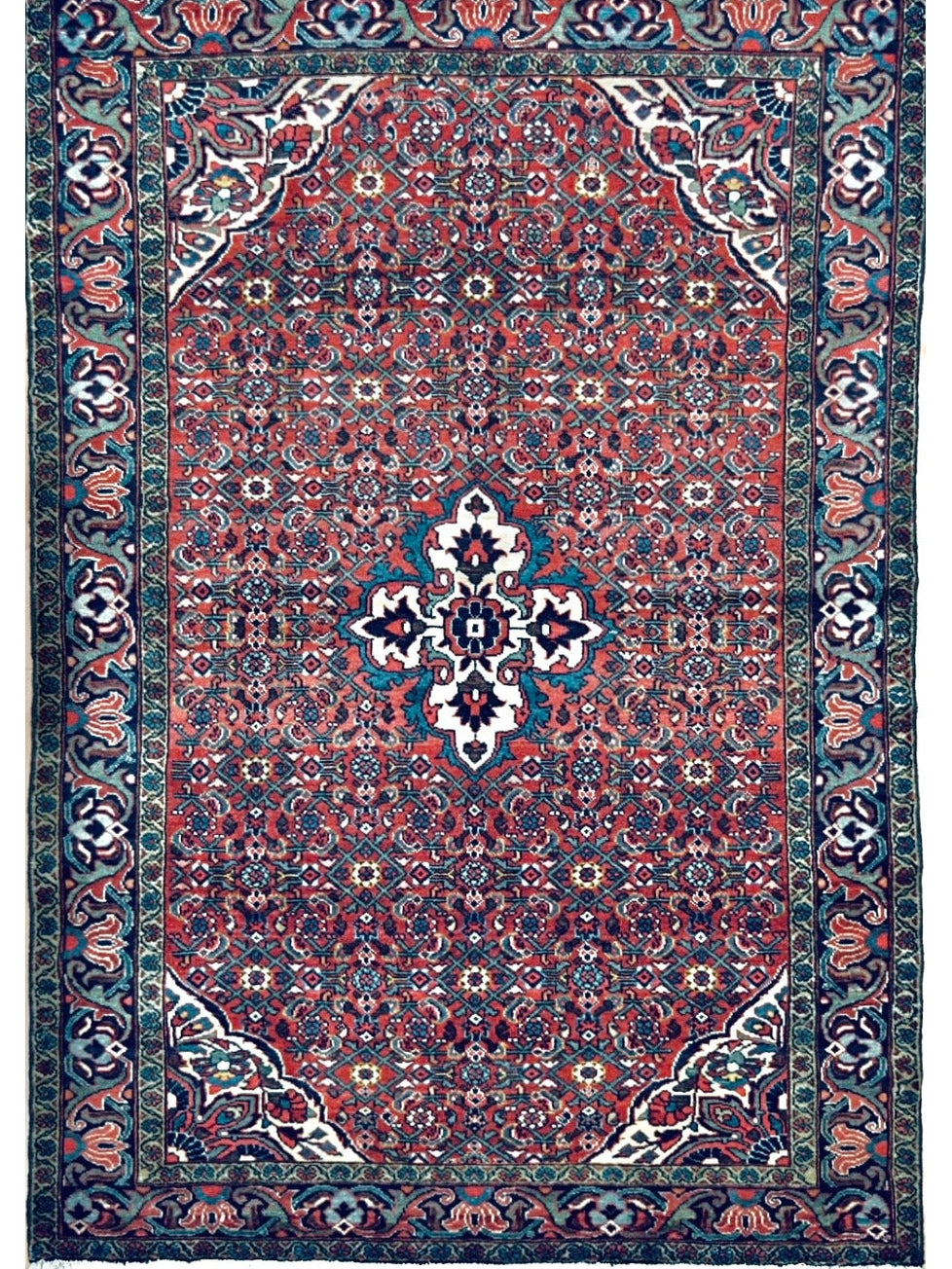 Persian Borchaloo hand knotted rug 5x7