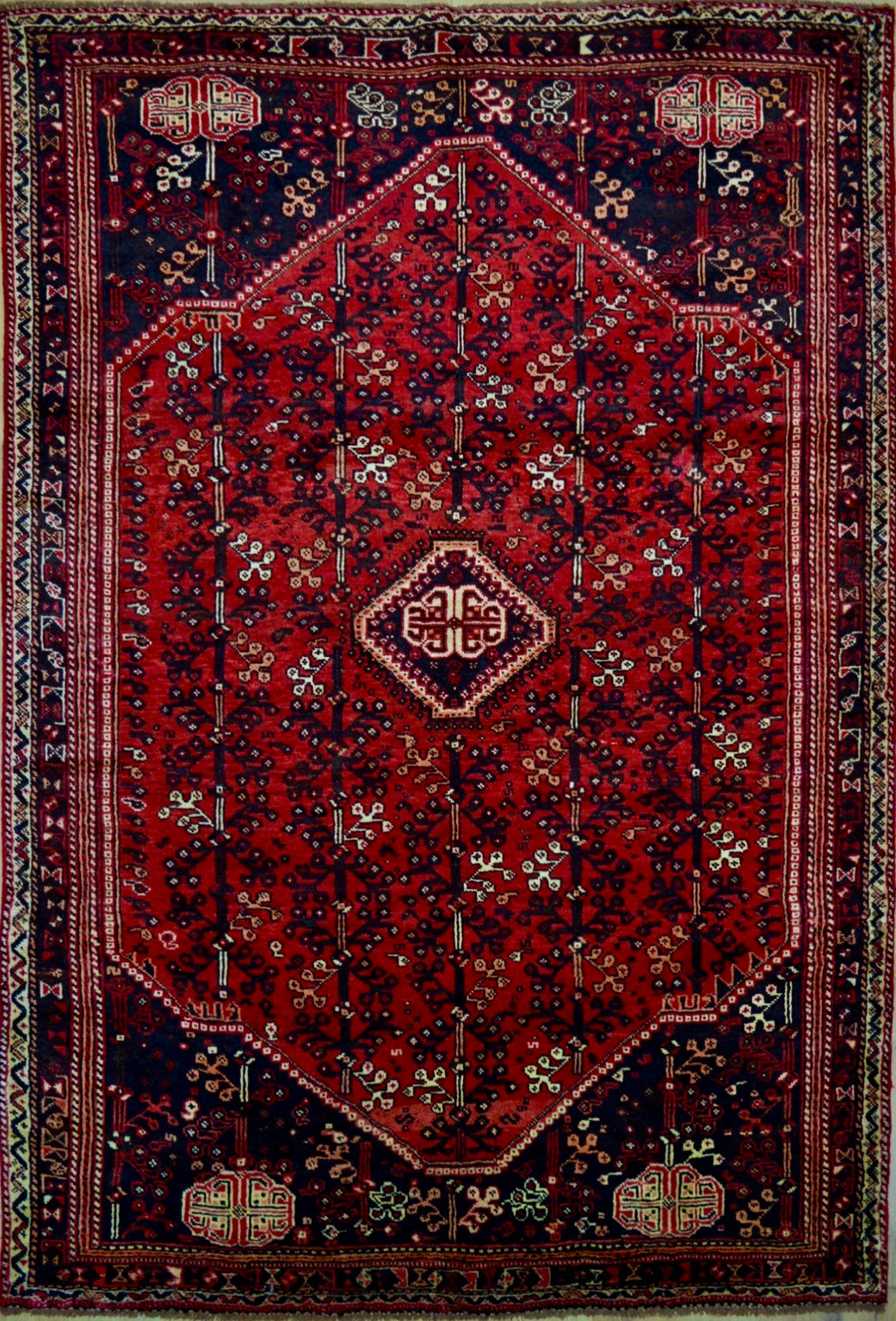 Persian Shiraz hand knotted rug 7x10