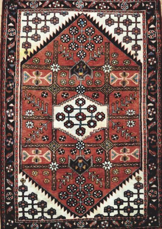 Persian Hamadan hand knotted rug 3x5