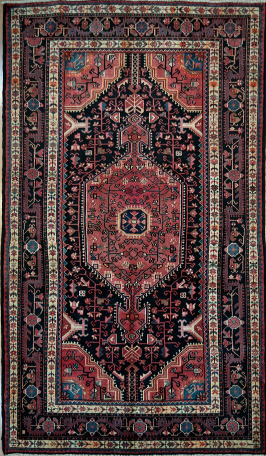 Persian Toysirkan hand knotted rug 5x8