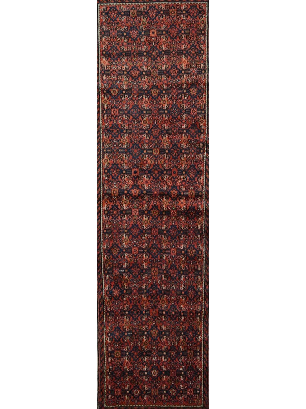 Indian Jaipur hand knotted rug 8x10